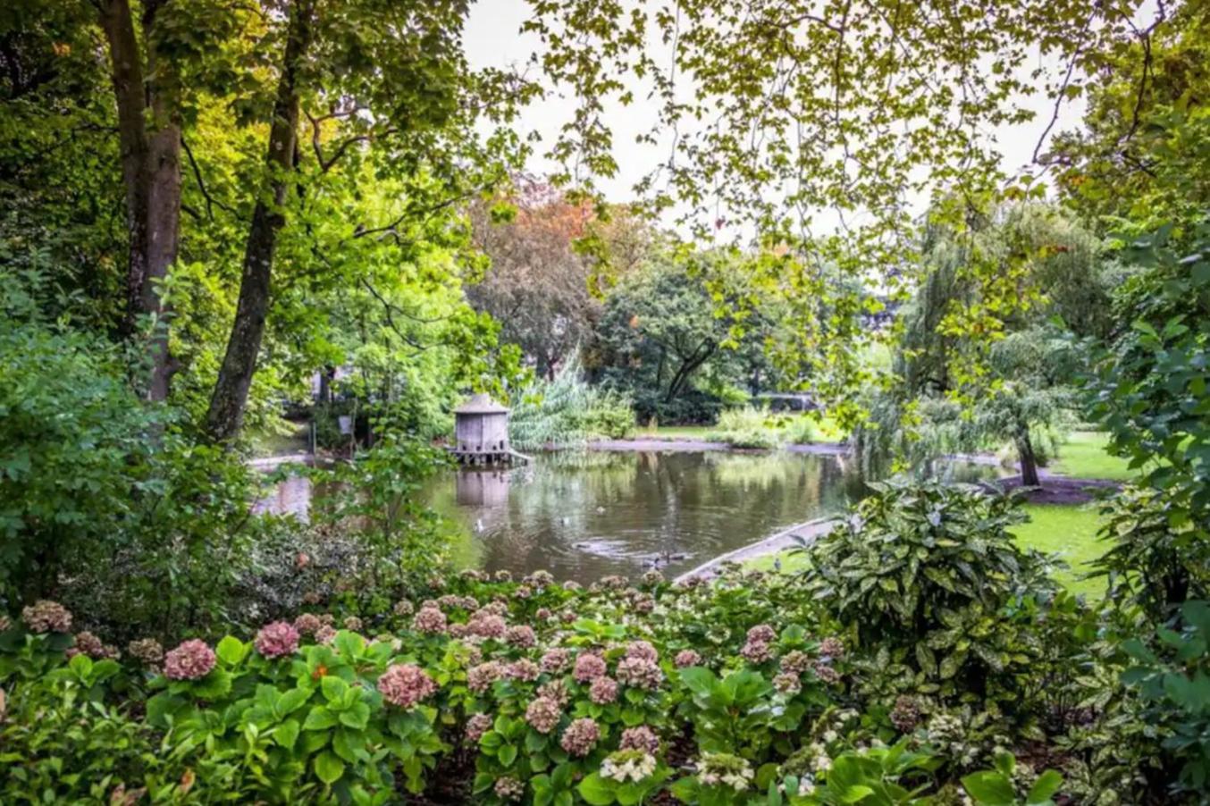 Le Clos Des Nobles Daire Toulouse Dış mekan fotoğraf