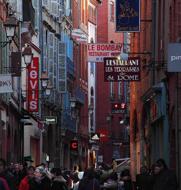 Le Clos Des Nobles Daire Toulouse Dış mekan fotoğraf