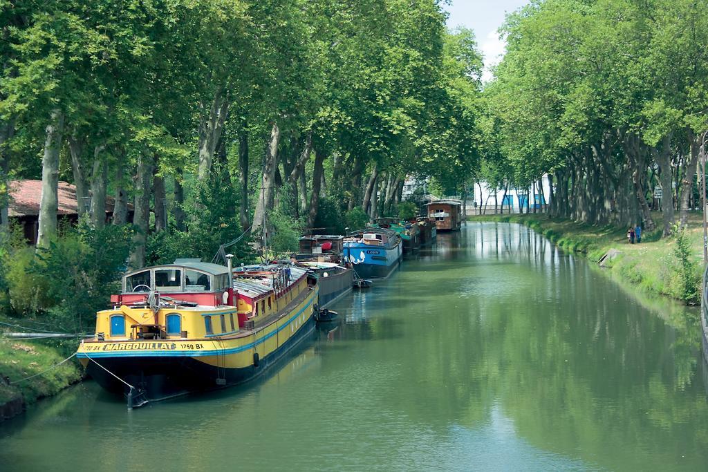 Le Clos Des Nobles Daire Toulouse Dış mekan fotoğraf